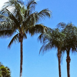 soaking in a much needed lazy day by the pool…